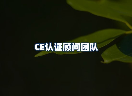 CE认证顾问团队